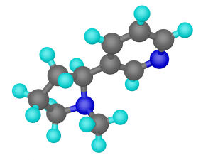 does caffeine cause tinnitus