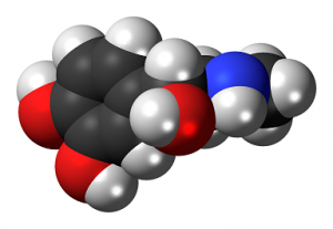 Can Melatonin help with tinnitus