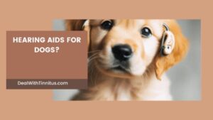 Hearing aids for dogs main featured image